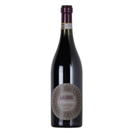 Vino Tinto Amarone Botter 750 ml