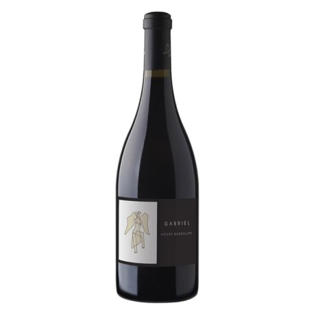 Vino Tinto Adobe Gabriel 750 ml