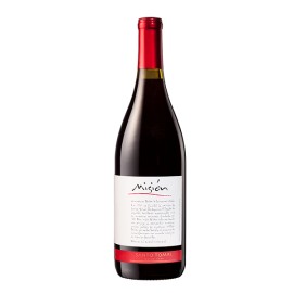 Vino Tinto Santo Tomas Mision 750 ml