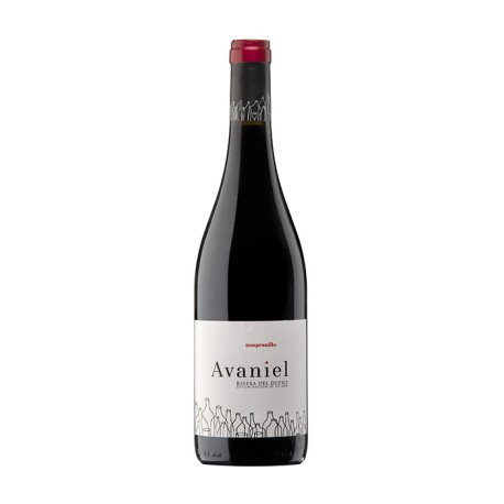 Vino Tinto Avaniel Tempranillo 750 ml