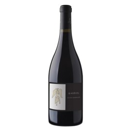 Vino Tinto Adobe Gabriel 750 ml